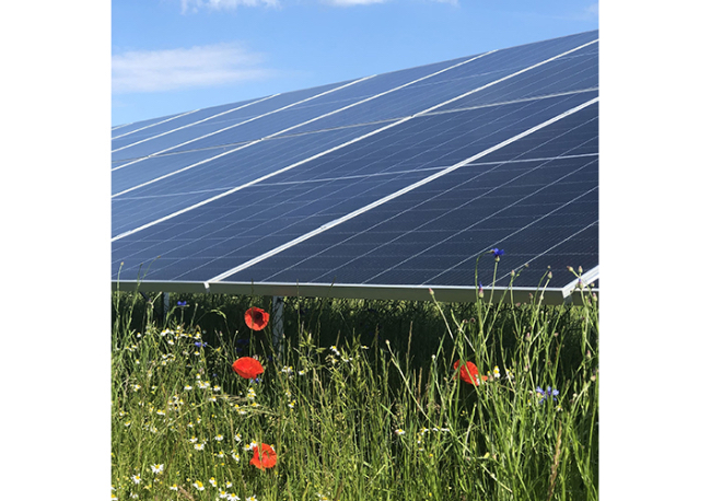 Foto BayWa r.e. contribuye con los objetivos de sostenibilidad de Grupo Schaeffler a través de la venta de un parque solar en Bavaria.